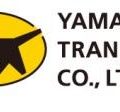 The Japanese Logistics Provider Yamato Transport Orders 500 StreetScooters 5