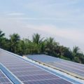 Sustainable Solutions Enterprise Buskowitz Energy Hopes to Power the Country’s Agriculture Industry with Rooftop Solar 1