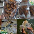 Kapis chips: Nutritious finger food from the sea 1