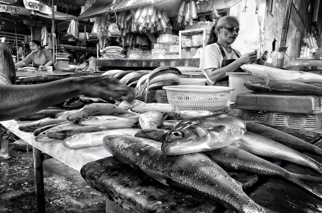 bangus milkfish grayscale photo of raw fish
