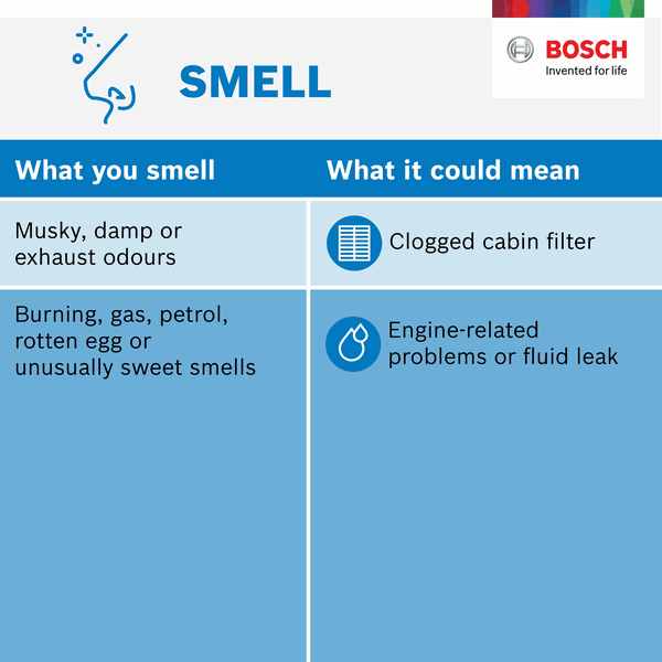 smell