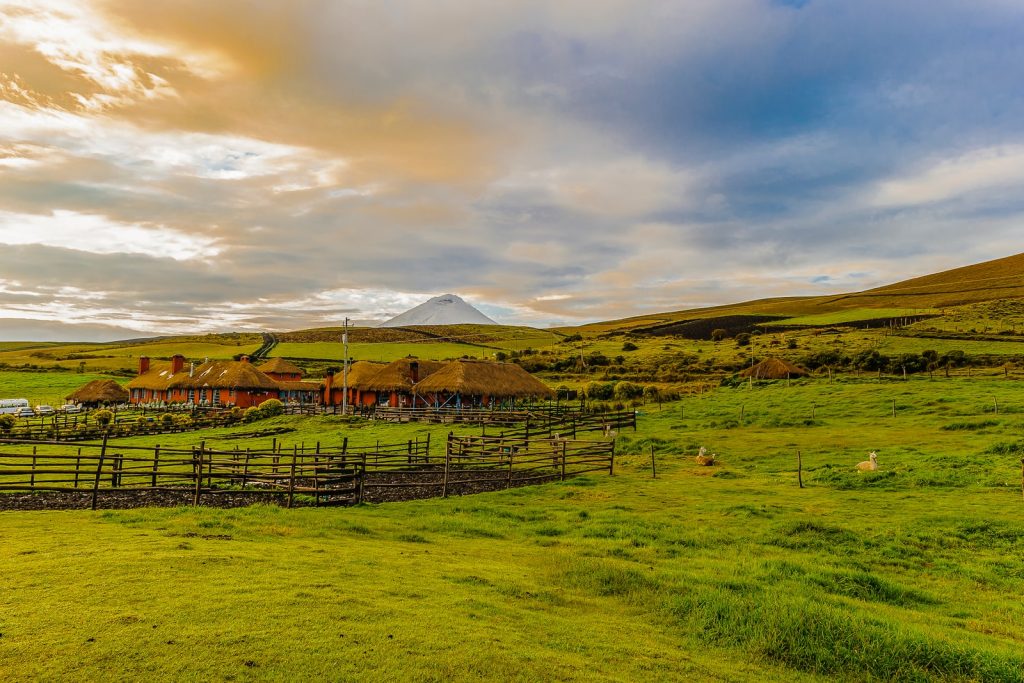 farm tourism brown wooden fence on green grass field under blue sky during daytime
