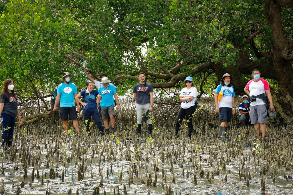 mangrove conservation project