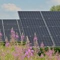 black solar panels on purple flower field during daytime