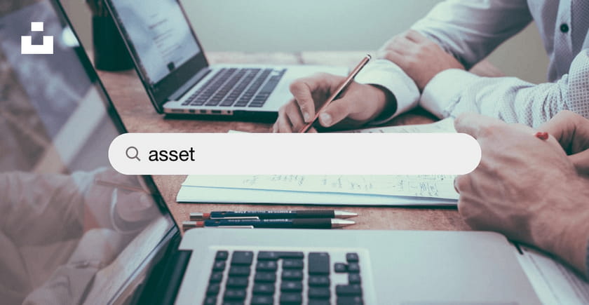 Asset management software