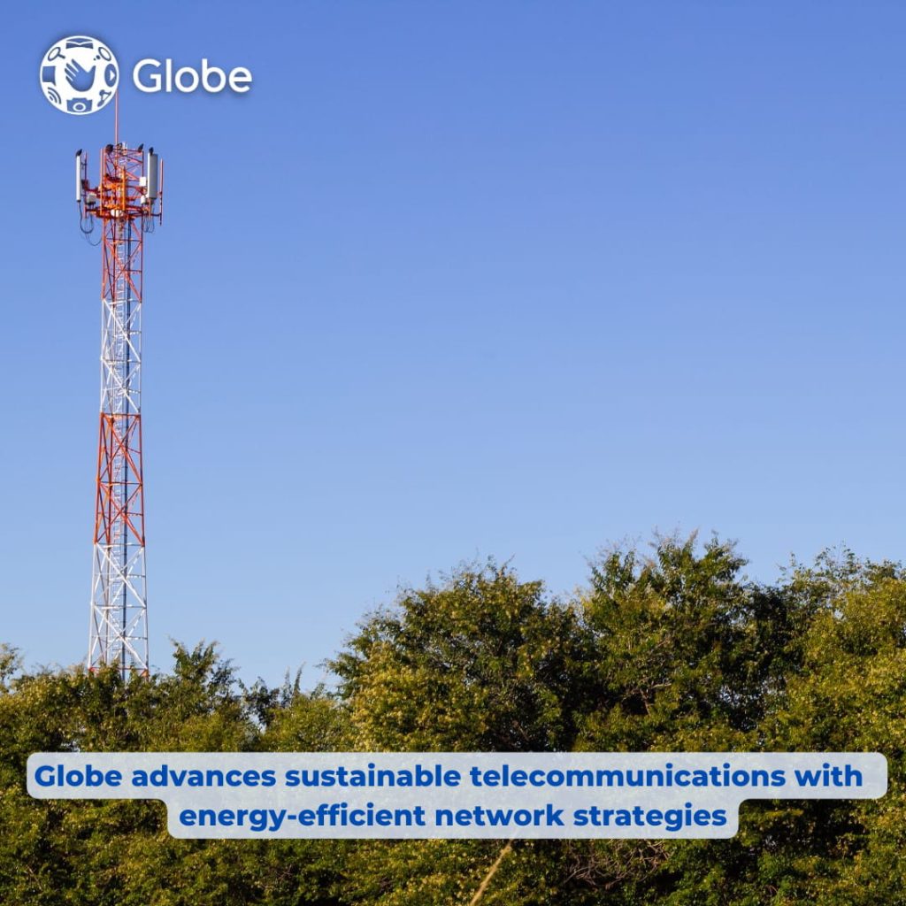 energy-efficient network strategies