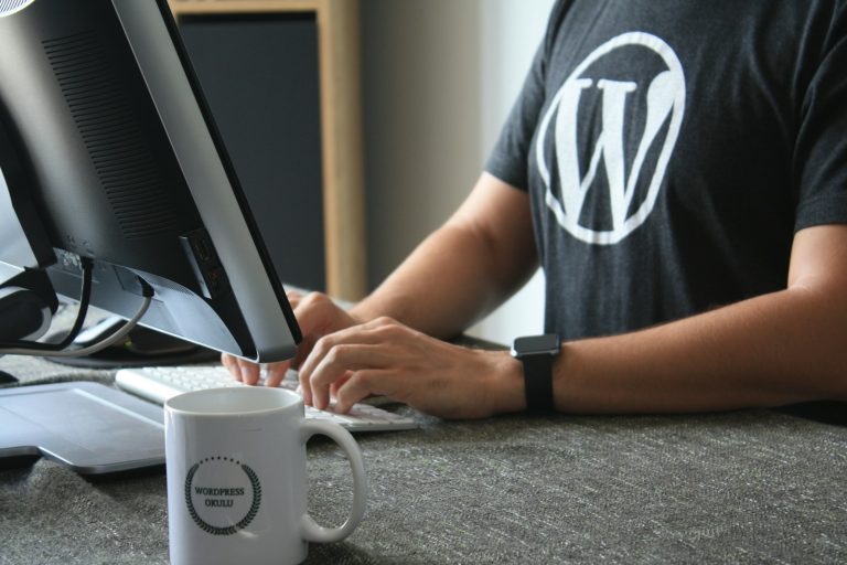 WordPress consultant