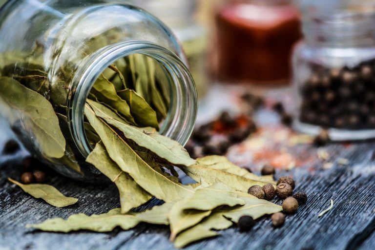 Bay Leaf Production Guide- spices, jar, kitchen