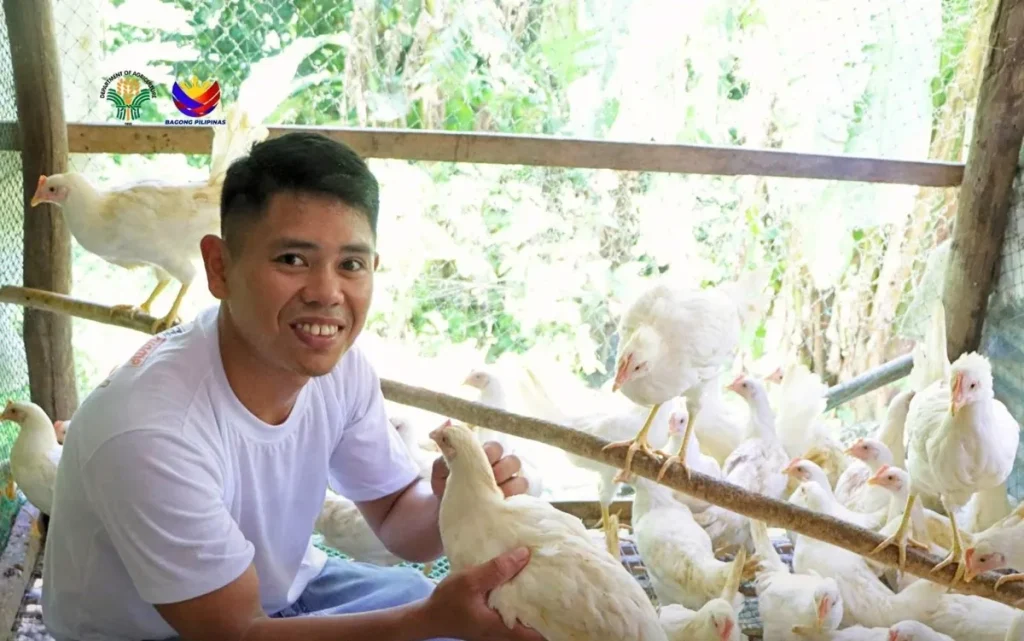 Rebuilds Poultry Farm and Boosts Egg Supply