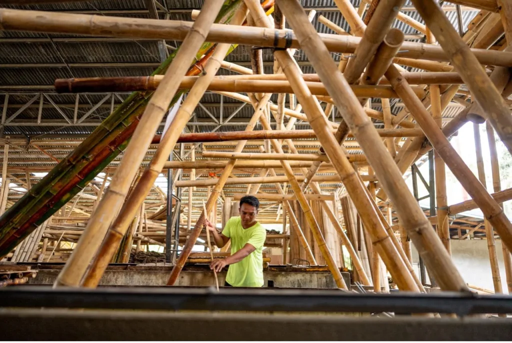 Why bamboo could become one of the Philippines' most strategic climate solutions