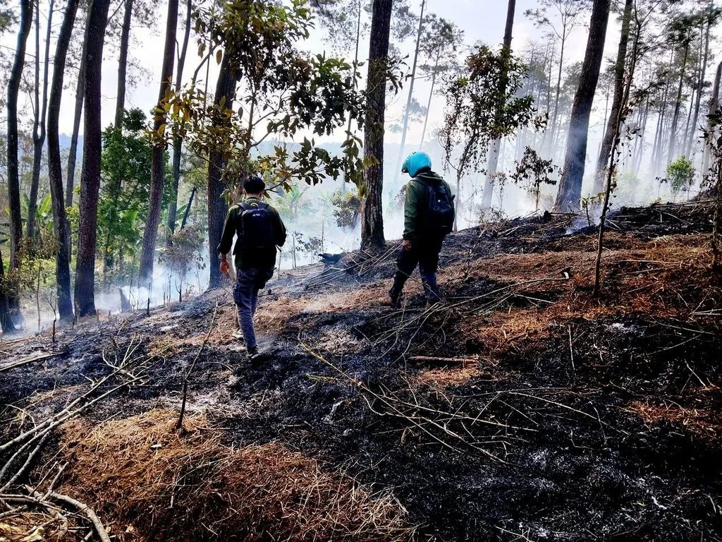 Universitas Brawijaya Forest operates thermal drone to strengthen fire mitigation